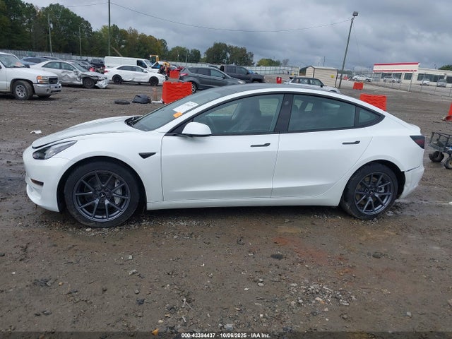 Продаж на аукціоні авто 2023 Tesla Model 3 Rear-wheel Drive, vin: 5YJ3E1EA3PF593547, номер лоту: 43394437