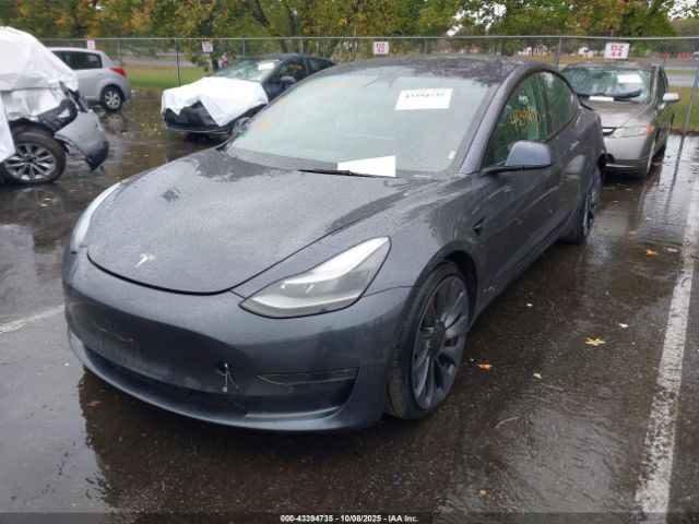 2021 TESLA MODEL 3 5YJ3E1EC7MF088804 Photo 1