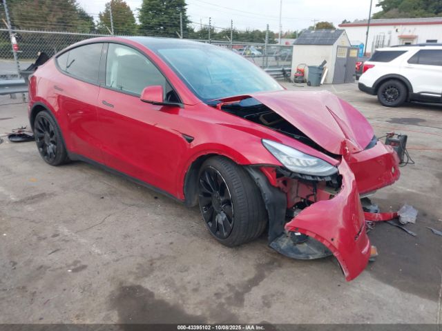 2021 TESLA MODEL Y 5YJYGDEFXMF072396 Photo 0