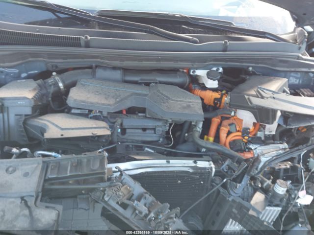 2025 KIA CARNIVAL MPV HYBRID KNDNE5KA9S6038661 Photo 9