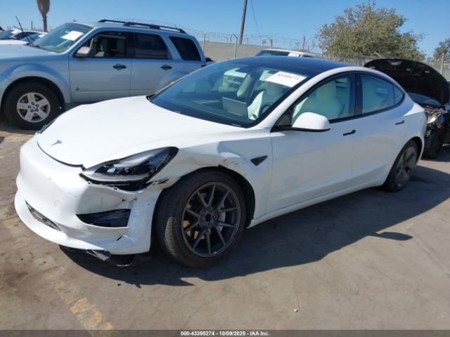 2021 TESLA MODEL 3 5YJ3E1EA6MF069661 Photo 1