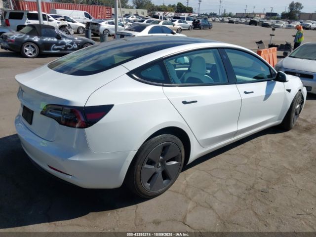 2021 TESLA MODEL 3 5YJ3E1EA6MF069661 Photo 3