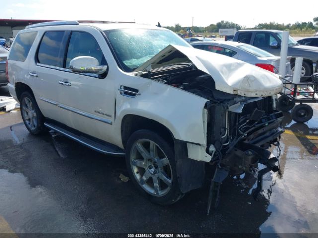2010 CADILLAC ESCALADE 1GYUKAEF8AR112194 Photo 0