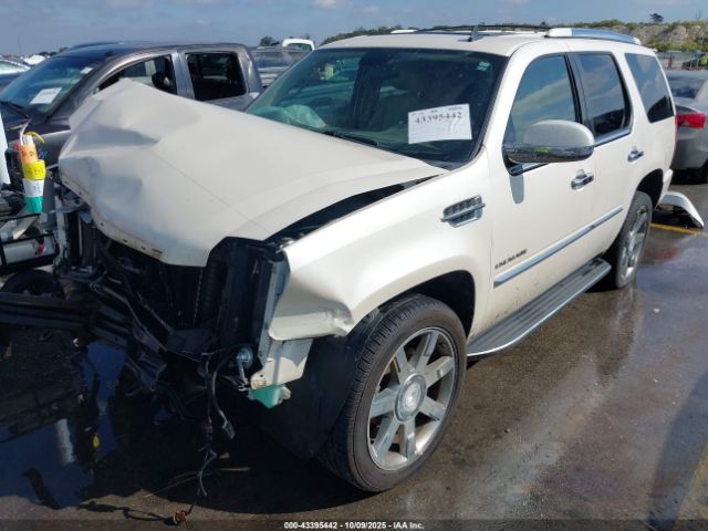 2010 CADILLAC ESCALADE 1GYUKAEF8AR112194 Photo 1