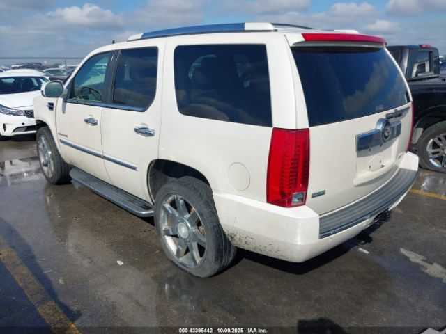 2010 CADILLAC ESCALADE 1GYUKAEF8AR112194 Photo 2