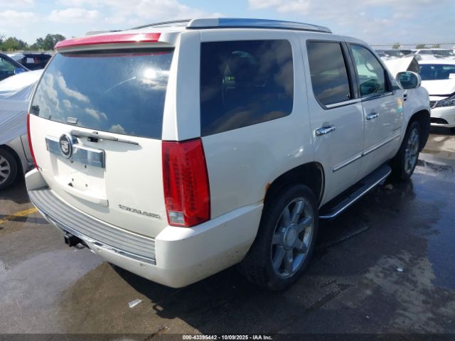 2010 CADILLAC ESCALADE 1GYUKAEF8AR112194 Photo 3