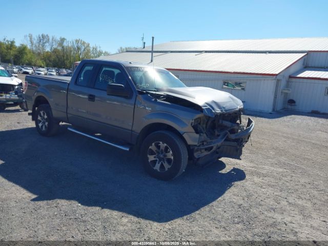 2013 FORD F-150 1FTFX1EF3DFB10097