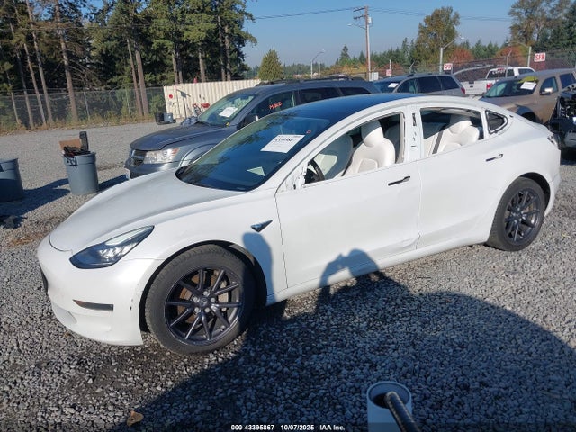 2020 TESLA MODEL 3 5YJ3E1EB7LF639223 Photo 1