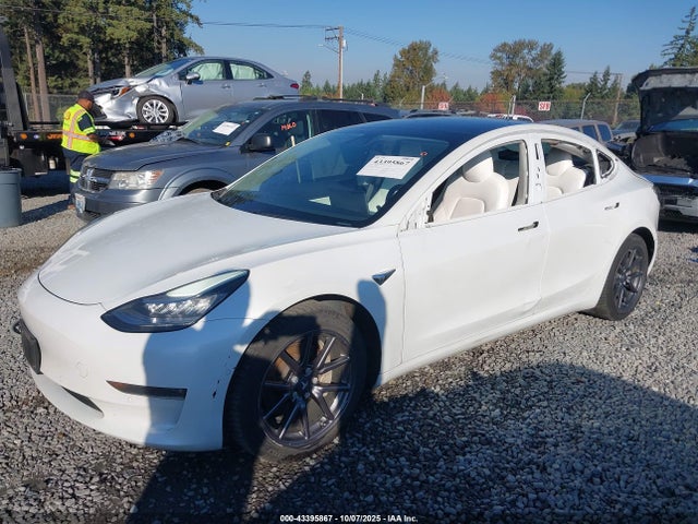 2020 TESLA MODEL 3 5YJ3E1EB7LF639223 Photo 5