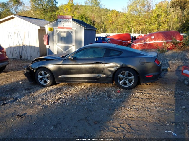Продаж на аукціоні авто 2019 Ford Mustang Ecoboost, vin: 1FA6P8TH6K5200785, номер лоту: 43396403