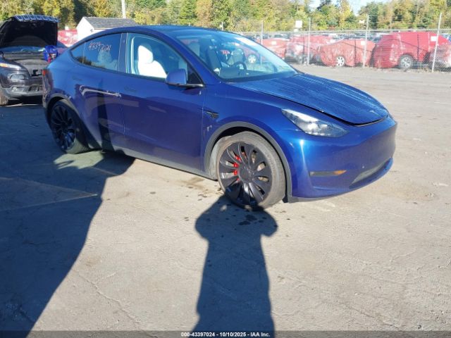 2023 TESLA MODEL Y 7SAYGDEF4PF711895 Photo 0