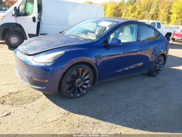 2023 TESLA MODEL Y 7SAYGDEF4PF711895 Photo 1