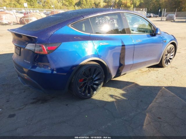 2023 TESLA MODEL Y 7SAYGDEF4PF711895 Photo 3