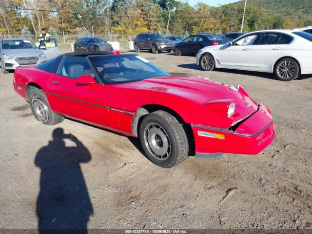 1985 CHEVROLET CORVETTE 1G1YY0784F5106219