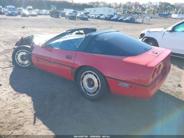 1985 CHEVROLET CORVETTE 1G1YY0784F5106219 Photo 2