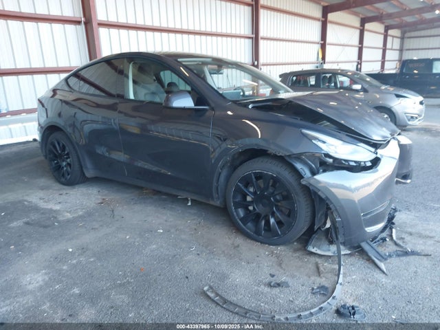 2022 TESLA MODEL Y 7SAYGDEE9NA010903 Photo 0