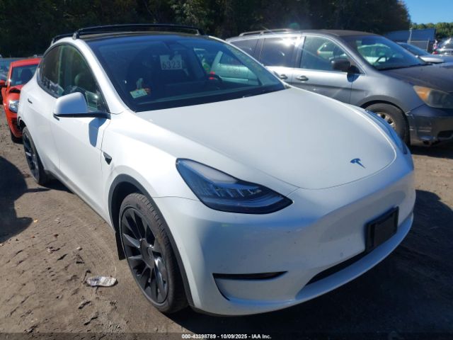 2021 TESLA MODEL Y 5YJYGDEE5MF233096 Photo 0