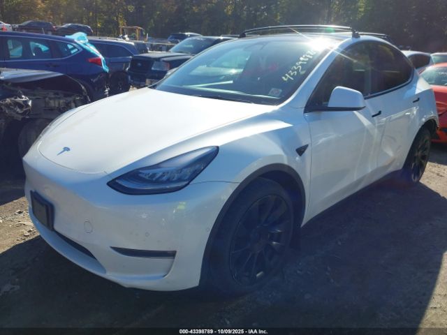 2021 TESLA MODEL Y 5YJYGDEE5MF233096 Photo 1