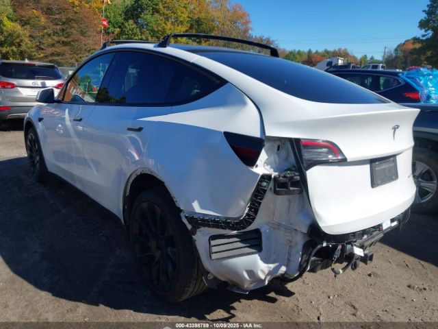 2021 TESLA MODEL Y 5YJYGDEE5MF233096 Photo 2