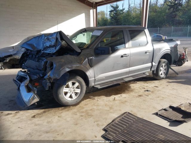 2022 FORD F-150 1FTFW1ED8NFB11281 Photo 1