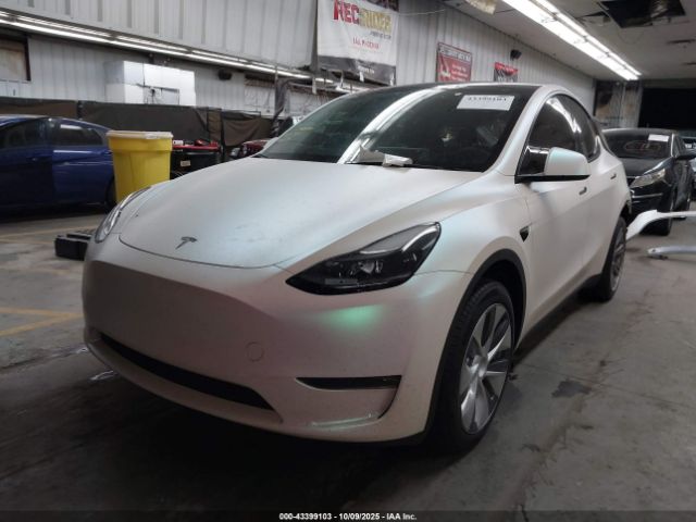 2023 TESLA MODEL Y 7SAYGDEE1PA195578 Photo 1