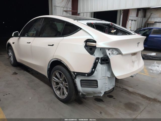 2023 TESLA MODEL Y 7SAYGDEE1PA195578 Photo 2