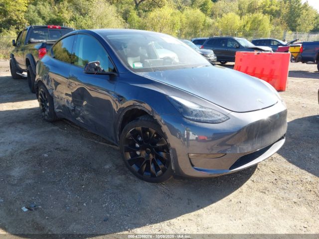 2023 TESLA MODEL Y 7SAYGAEE3PF807541 Photo 0