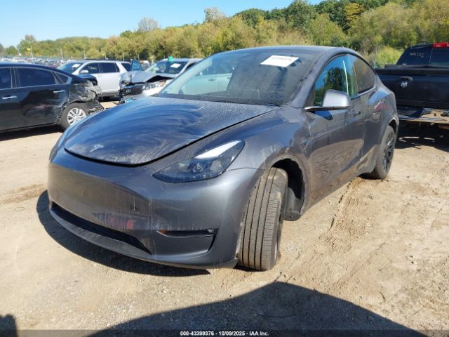 2023 TESLA MODEL Y 7SAYGAEE3PF807541 Photo 1