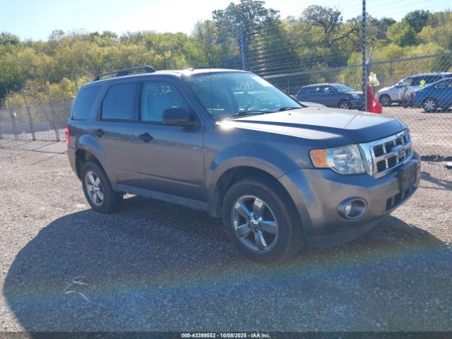 2009 FORD ESCAPE 1FMCU937X9KB20822 Photo 0