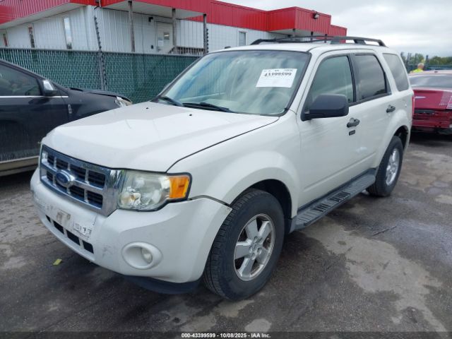 2009 FORD ESCAPE 1FMCU03769KC57512 Photo 1