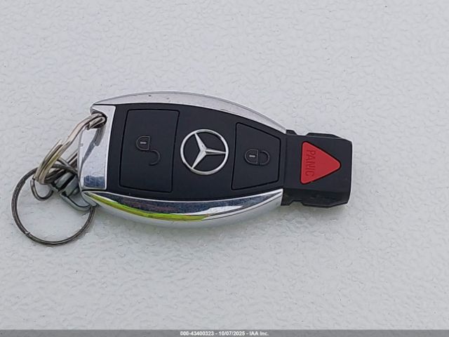 2010 MERCEDES-BENZ GL 550 4JGBF8GE6AA576772 Photo 10
