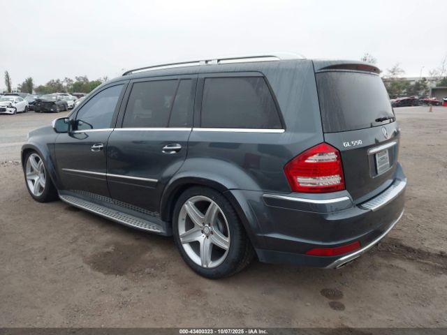 2010 MERCEDES-BENZ GL 550 4JGBF8GE6AA576772 Photo 2