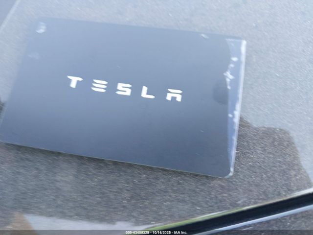 2019 TESLA MODEL 3 5YJ3E1EA2KF395261 Photo 10