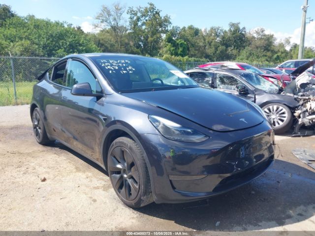 2024 TESLA MODEL Y 7SAYGDED8RF197535