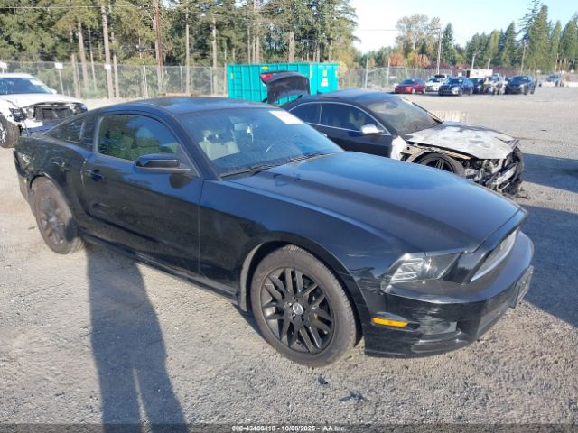 2014 FORD MUSTANG 1ZVBP8AM6E5309659