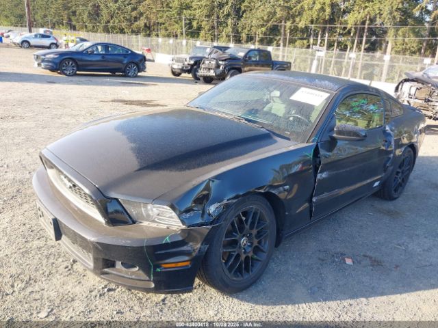 2014 FORD MUSTANG 1ZVBP8AM6E5309659 Photo 1