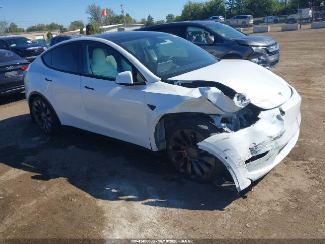 2021 TESLA MODEL Y 5YJYGDEF8MF209383 Photo 0