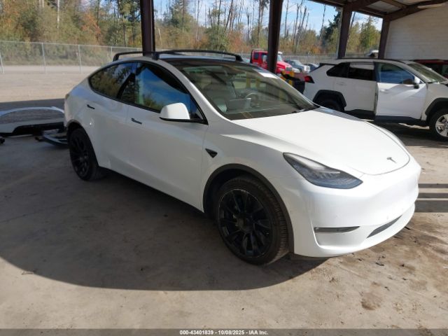 2021 TESLA MODEL Y 5YJYGDEE6MF138868 Photo 0