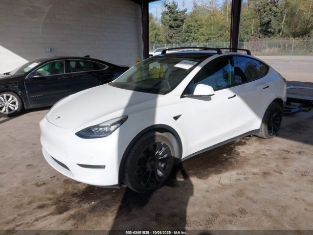 2021 TESLA MODEL Y 5YJYGDEE6MF138868 Photo 1