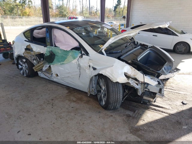 2023 TESLA MODEL Y 7SAYGDEE9PF805925 Photo 0