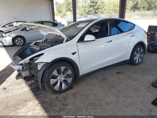 2023 TESLA MODEL Y 7SAYGDEE9PF805925 Photo 1
