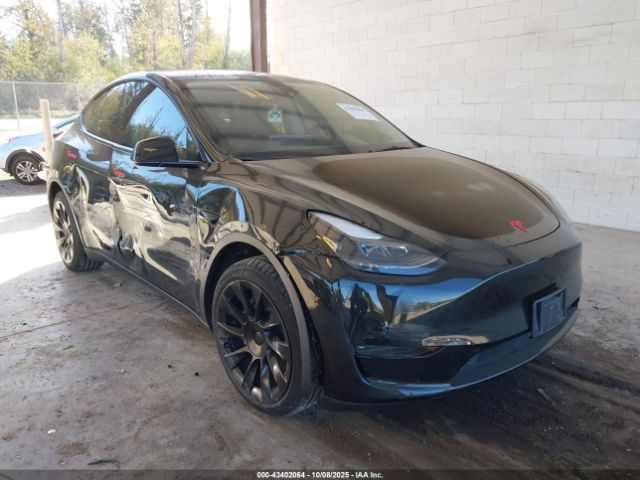 2023 TESLA MODEL Y 7SAYGDEE6PF814758 Photo 0