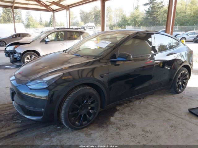 2023 TESLA MODEL Y 7SAYGDEE6PF814758 Photo 1