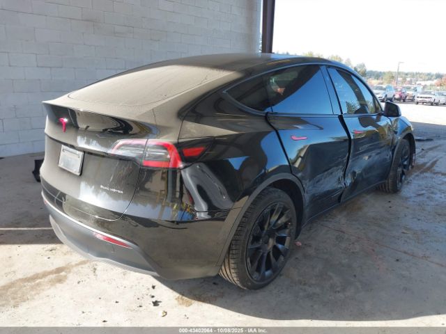 2023 TESLA MODEL Y 7SAYGDEE6PF814758 Photo 3