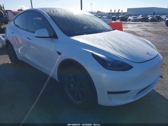 2025 TESLA MODEL Y 7SAYGDED2SF219910