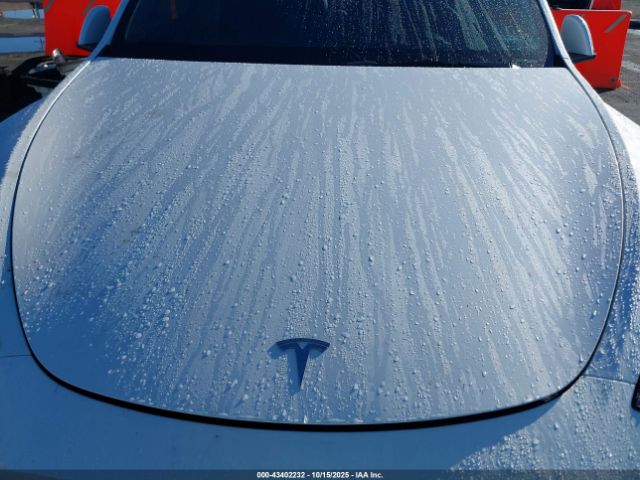 2025 TESLA MODEL Y 7SAYGDED2SF219910 Photo 9