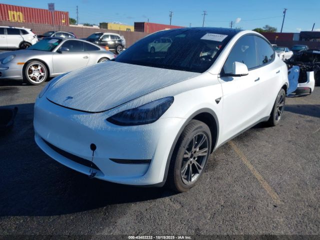 2025 TESLA MODEL Y 7SAYGDED2SF219910 Photo 1
