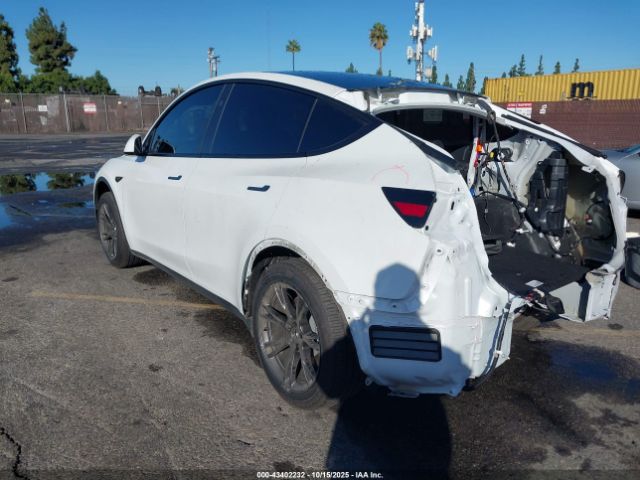 2025 TESLA MODEL Y 7SAYGDED2SF219910 Photo 2