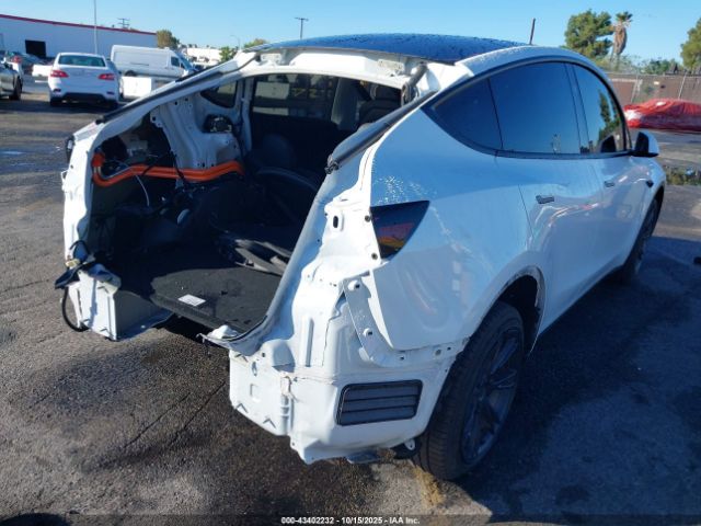 2025 TESLA MODEL Y 7SAYGDED2SF219910 Photo 3