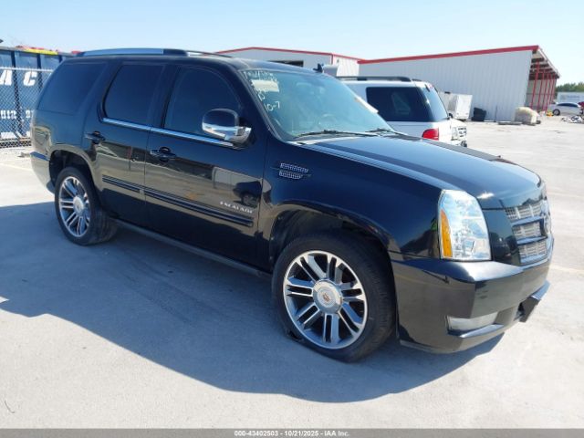 2013 CADILLAC ESCALADE 1GYS4CEF8DR268298